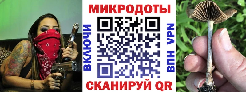 Псилоцибиновые грибы прущие грибы  Волхов 